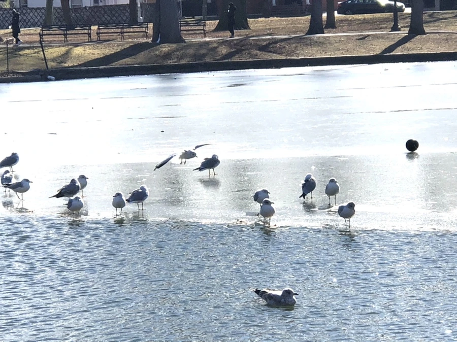 IMG_6817.jpg?type=w966