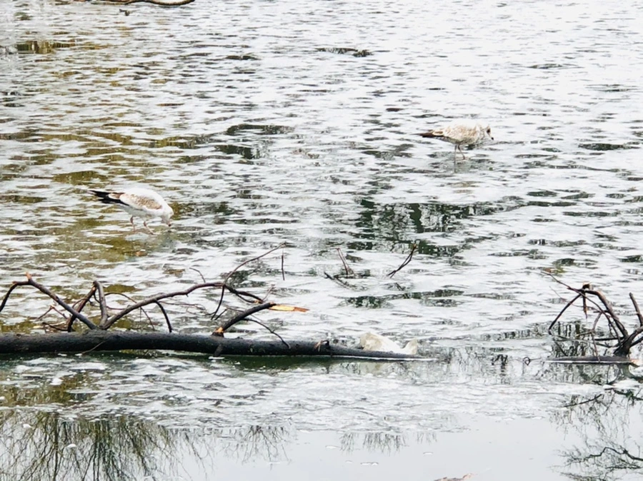 IMG_5563.jpg?type=w966