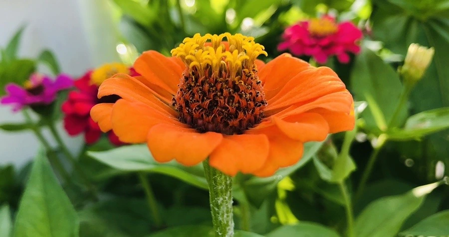 OHYCF5JnGXdvp4Pb8oADKxCu89A