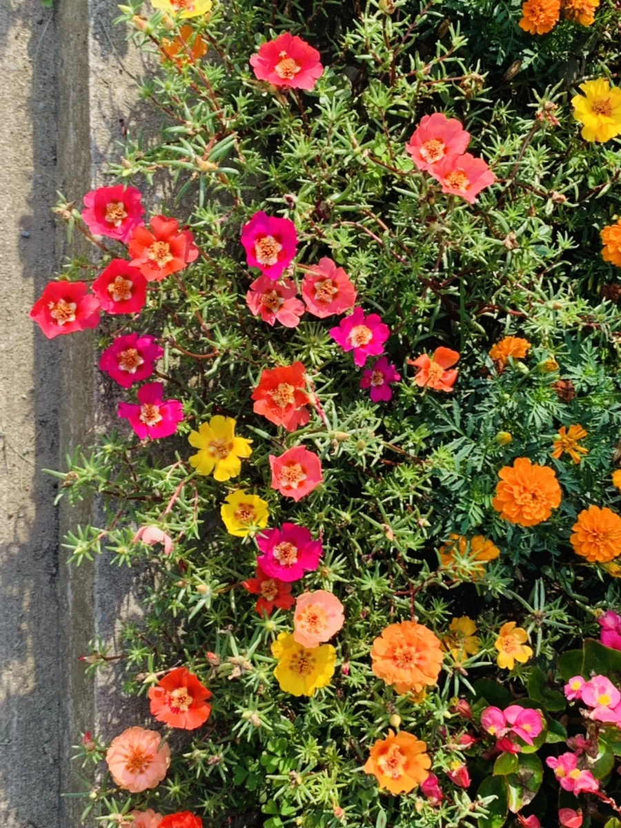 IMG_6646.jpg?type=w966