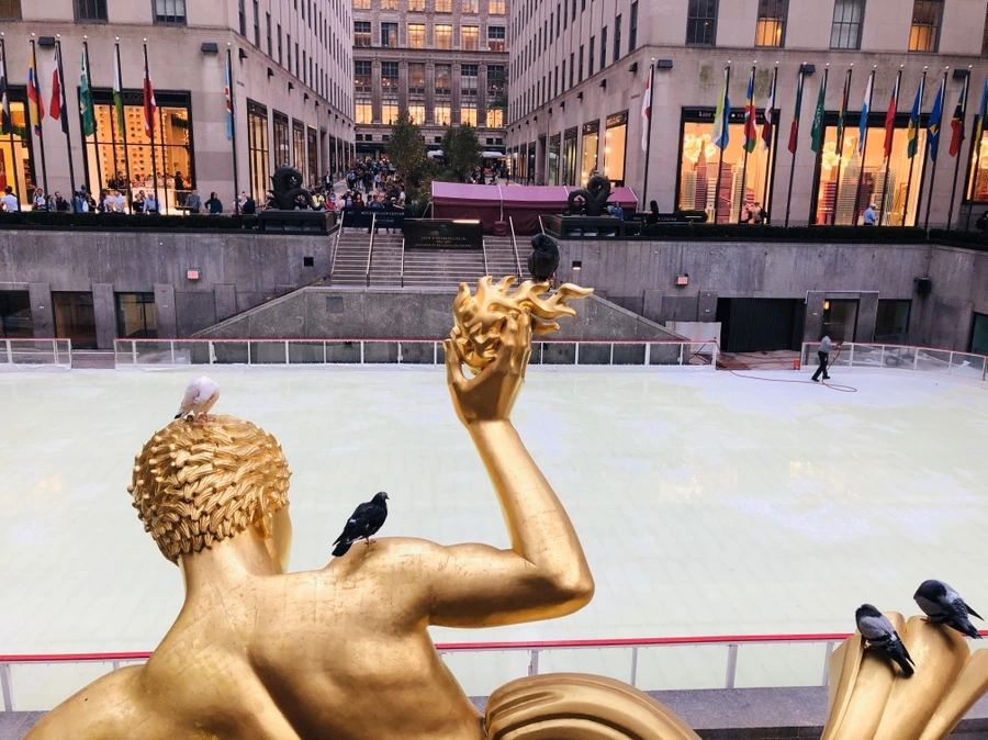 IMG_1094.jpg?type=w966