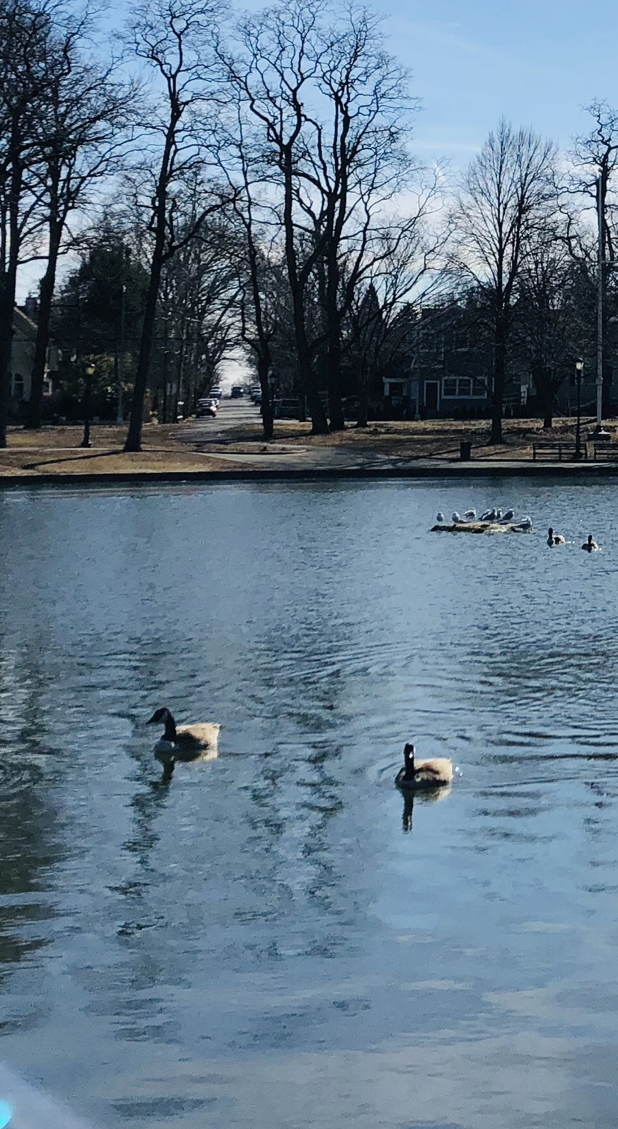 i6hRuxGF7-6xJw50GkODaRYACjY