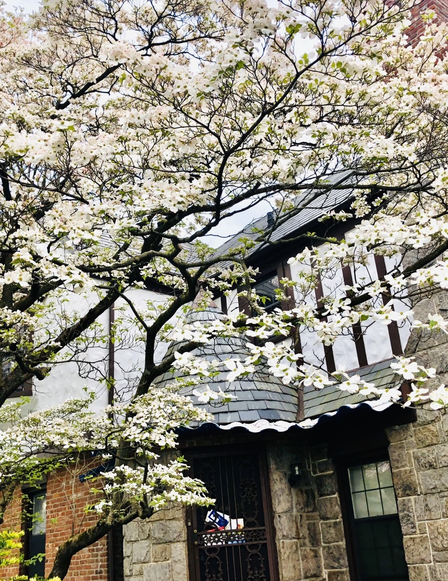 IMG_7248.jpg?type=w966