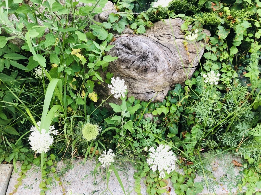 IMG_4862.jpg?type=w966