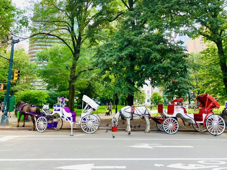 IMG_0564.jpg?type=w966