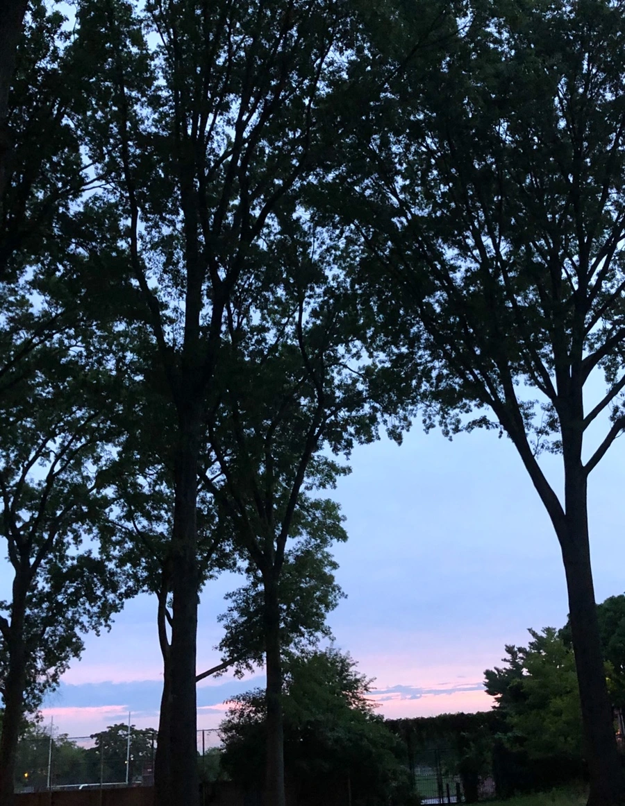 IMG_4280.jpg?type=w966