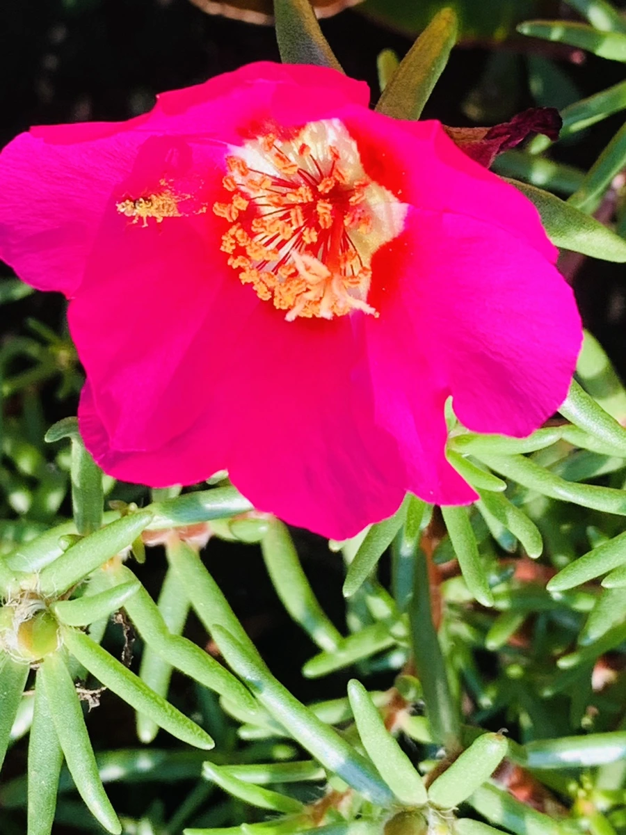 IMG_8427.jpg?type=w966