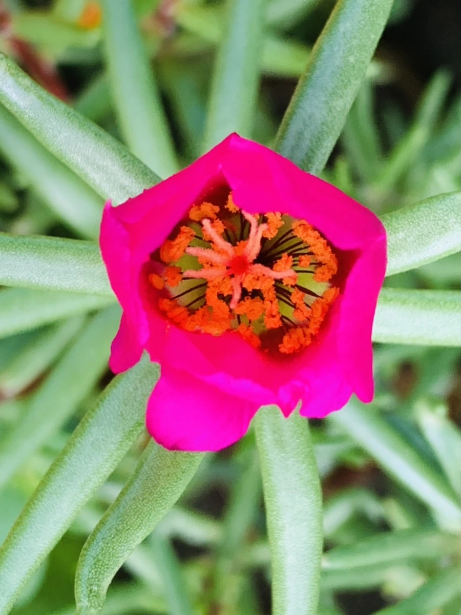 IMG_0353.jpg?type=w966