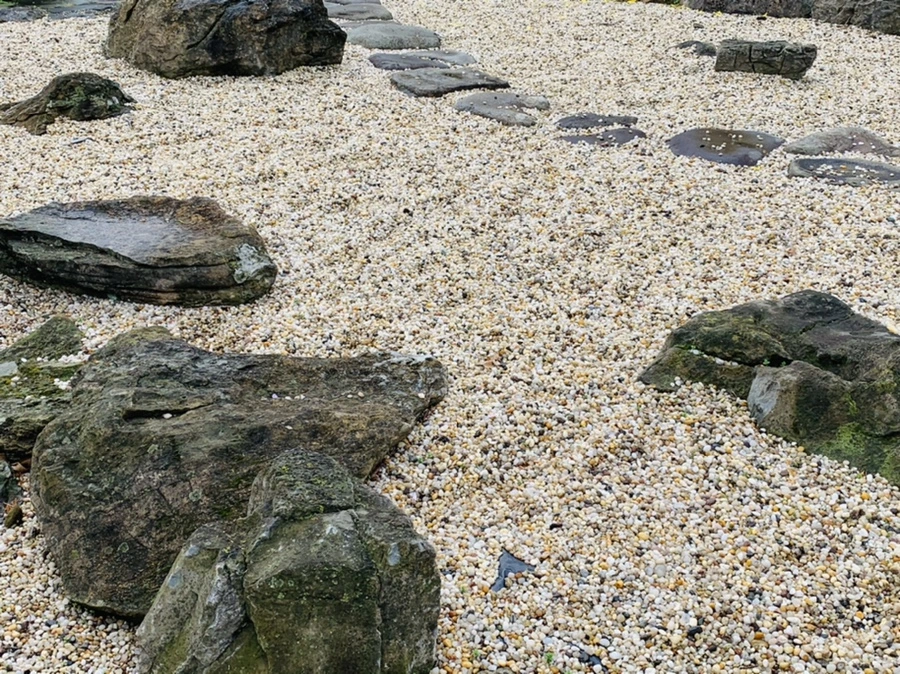 IMG_4029.jpg?type=w966