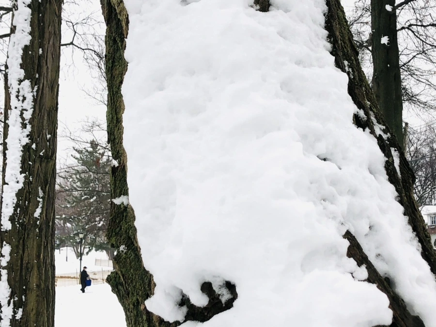 IMG_1572.jpg?type=w966