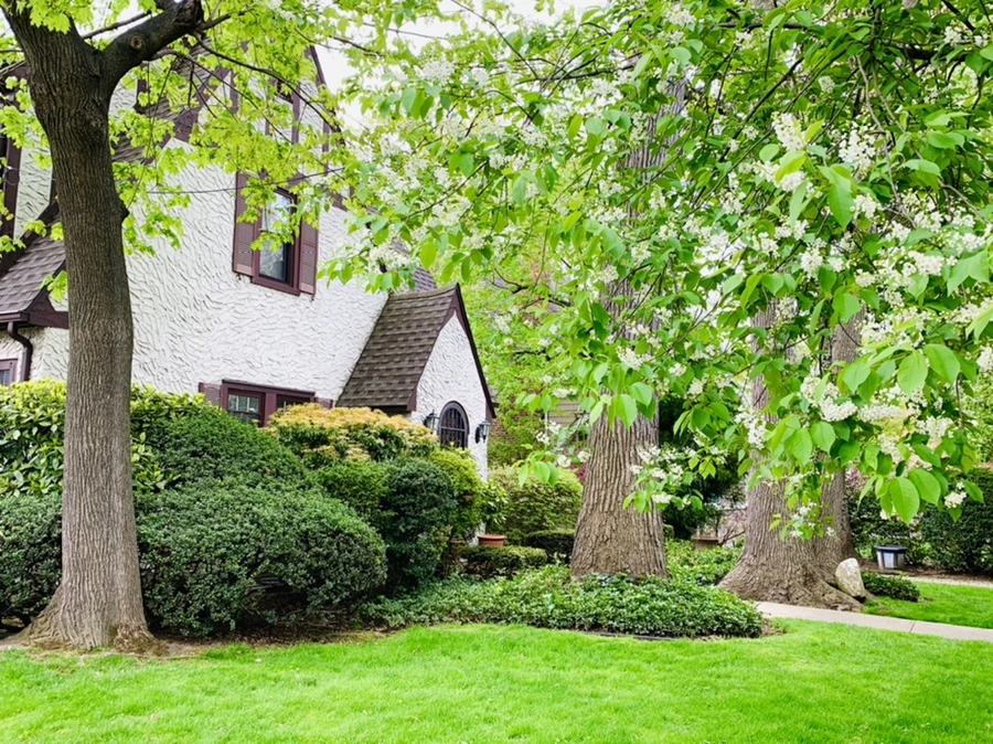 IMG_6111.jpg?type=w966