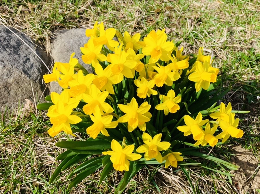 IMG_3434.jpg?type=w966