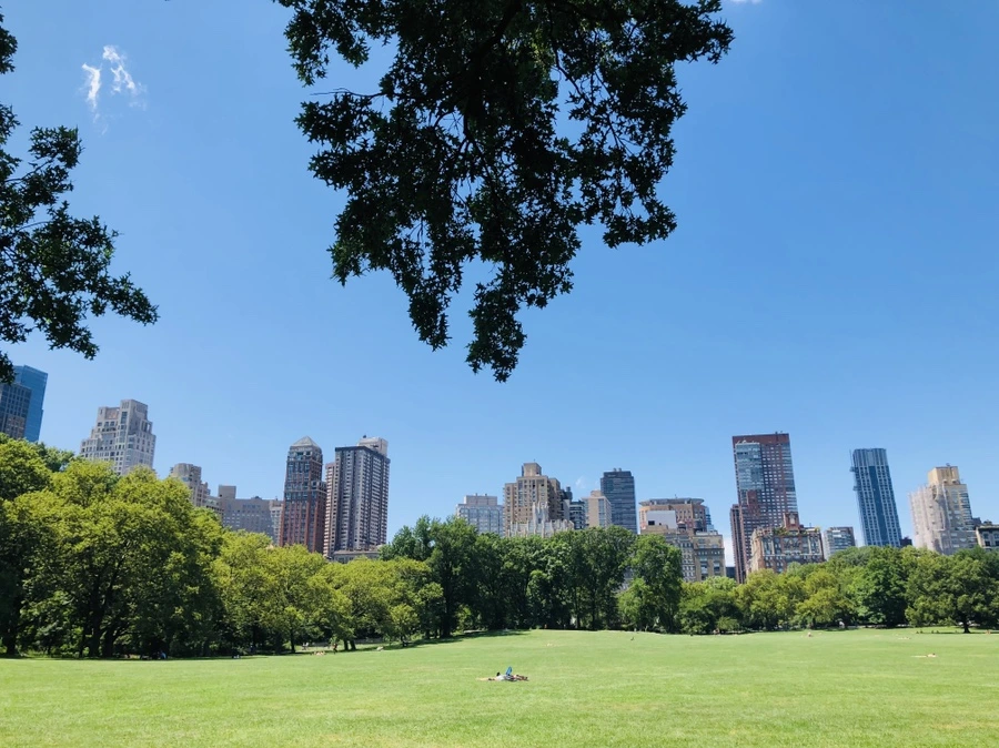 IMG_5711.jpg?type=w966