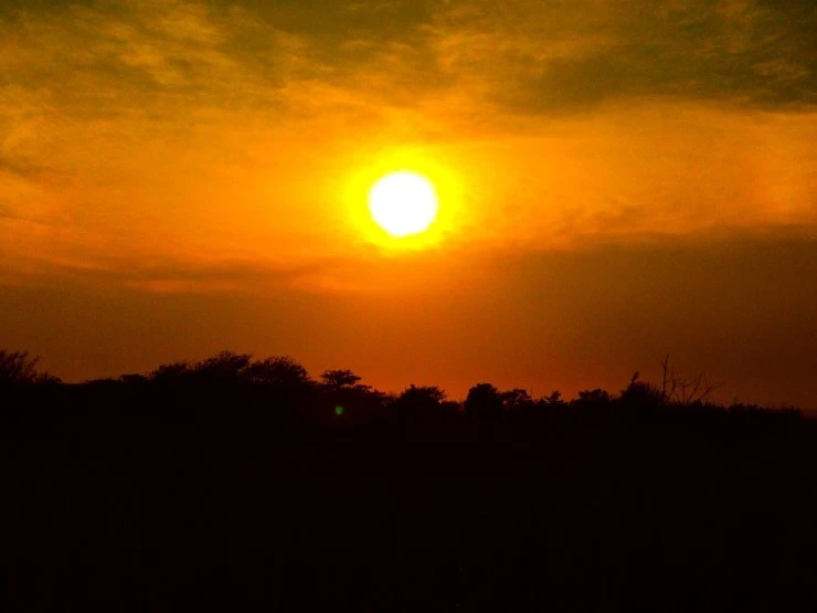 IMG_7278.JPG?type=w1