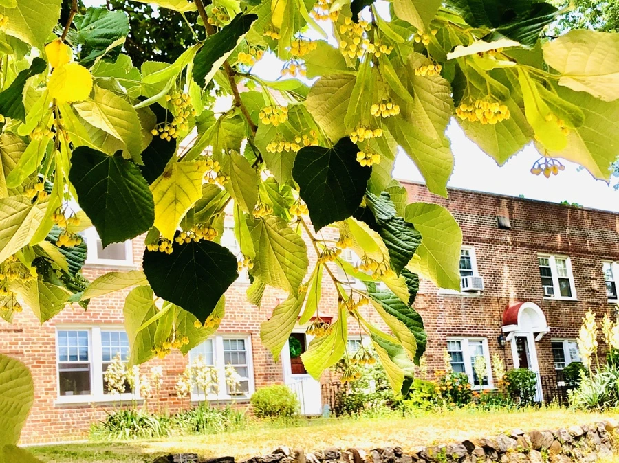 IMG_0598.jpg?type=w966