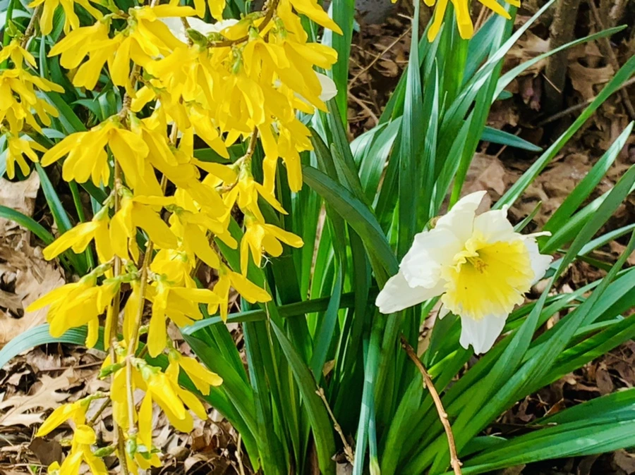 IMG_6360.jpg?type=w966