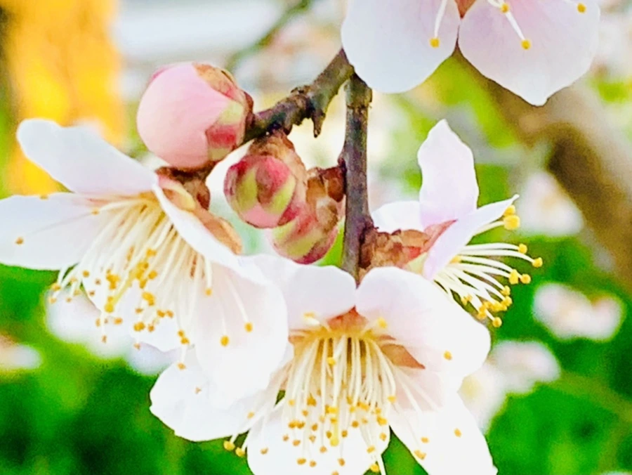 IMG_0925.jpg?type=w966