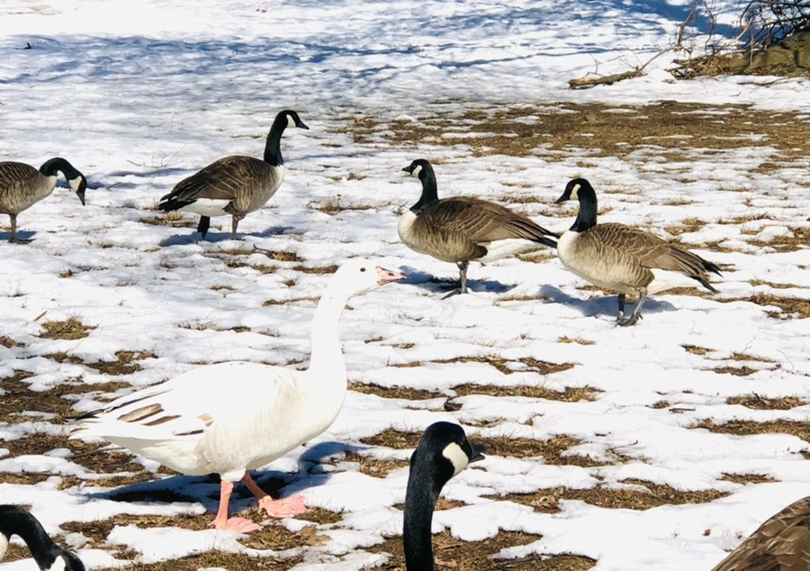 IMG_4507.jpg?type=w966