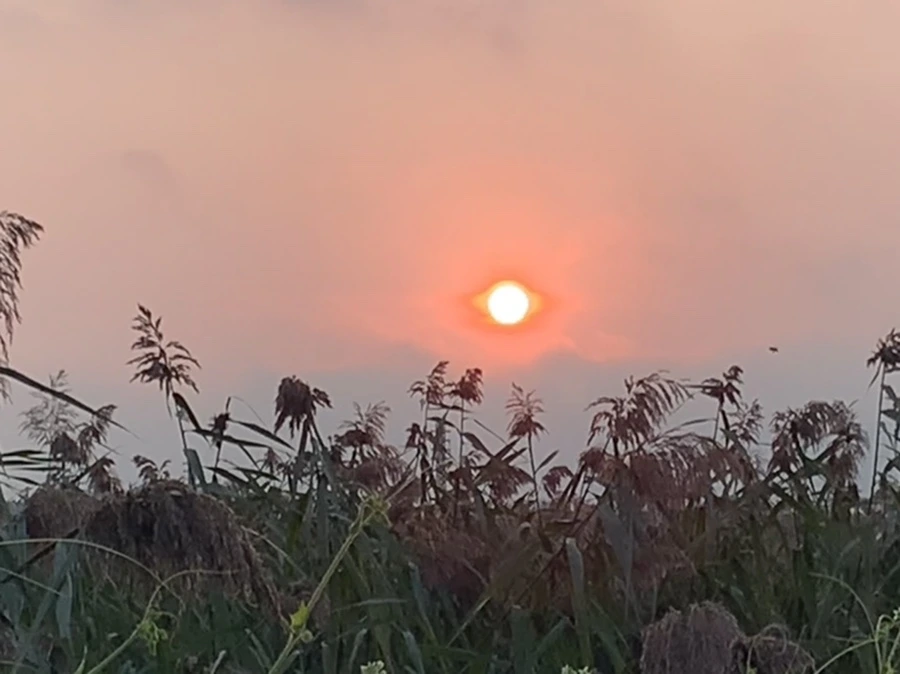 IMG_1137.jpg?type=w966