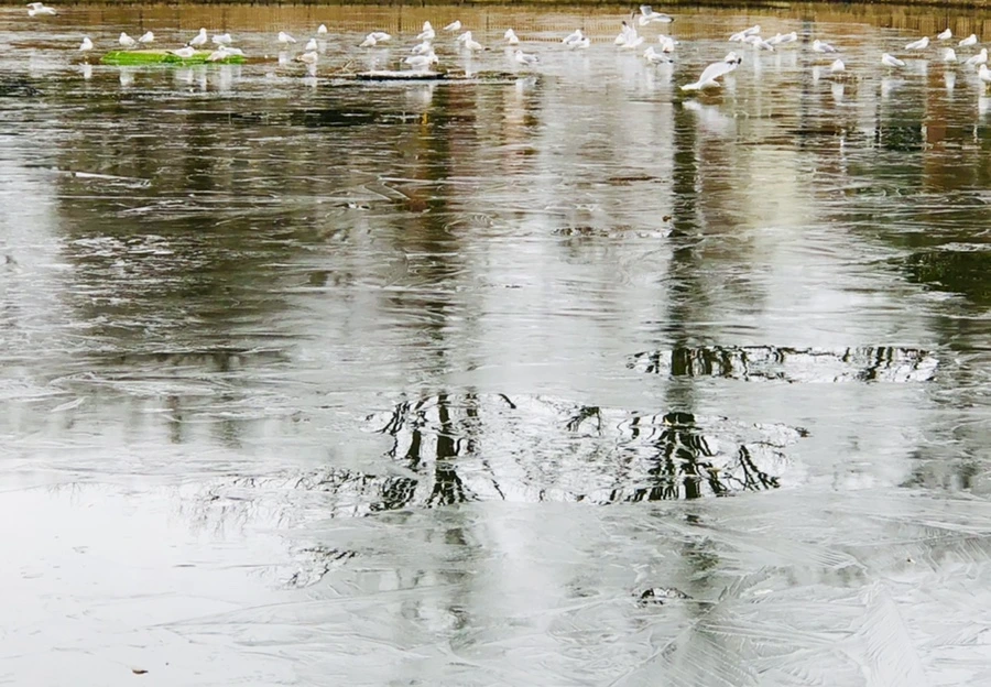 IMG_9043.jpg?type=w966