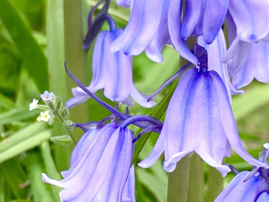 IMG_9591.jpg?type=w966