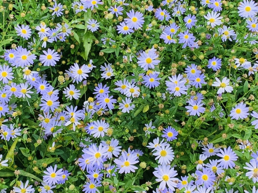 IMG_9301.jpg?type=w966