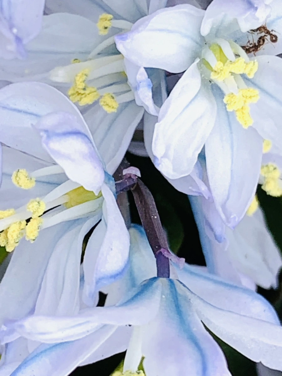 IMG_3530.jpg?type=w966