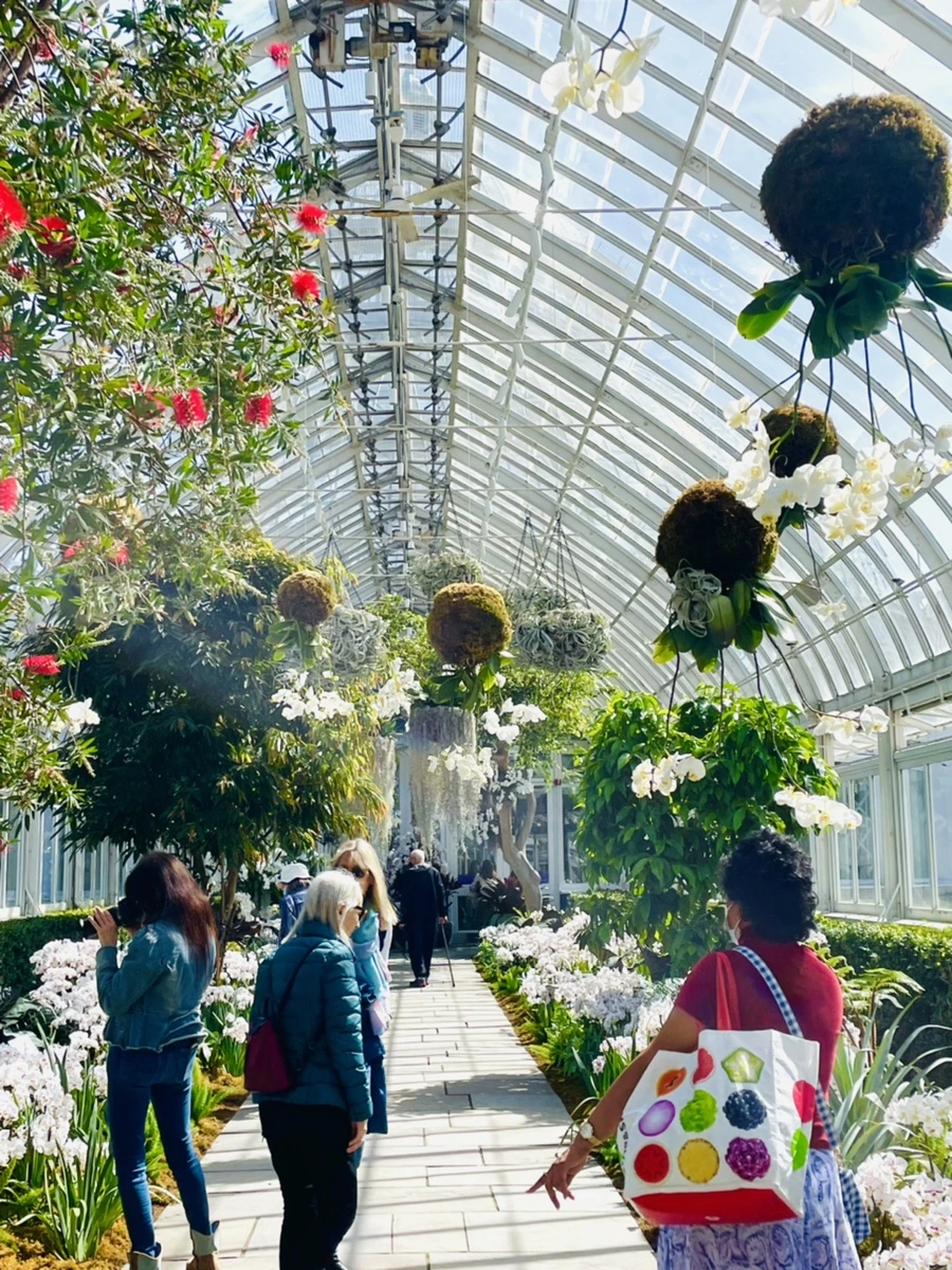 IMG_6521.jpg?type=w966