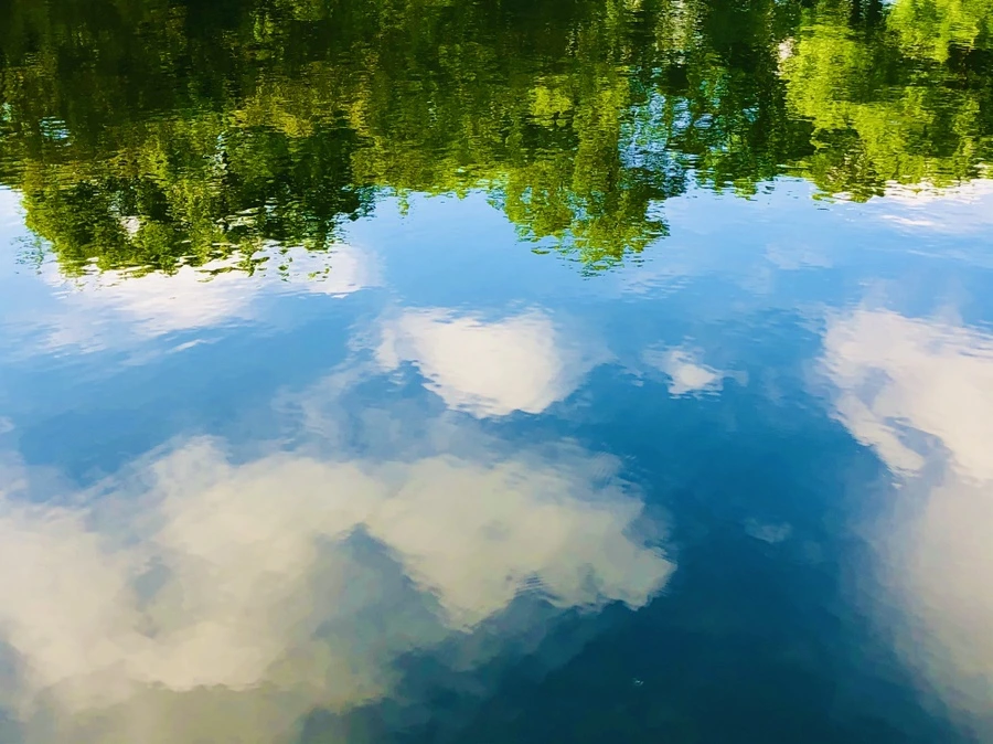 IMG_2934.jpg?type=w966