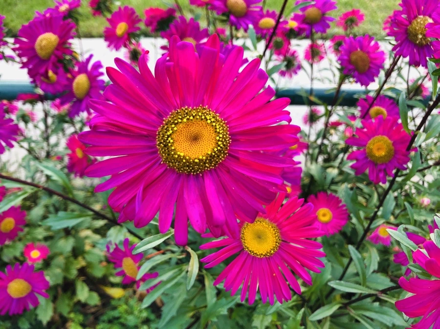 IMG_0175.jpg?type=w966