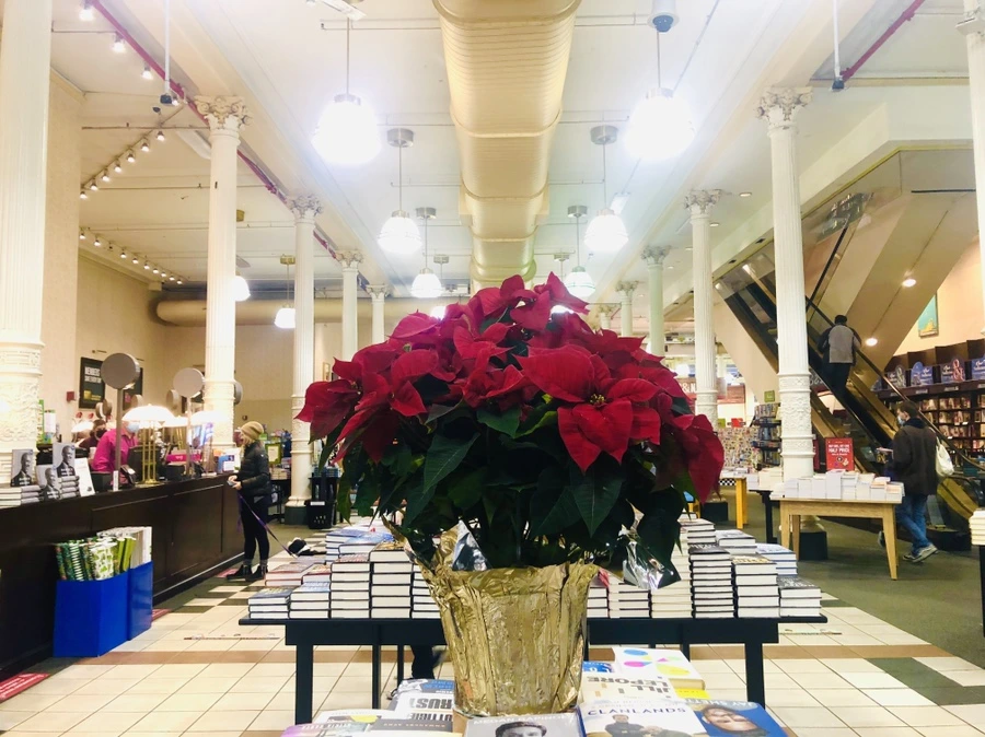 IMG_5824.jpg?type=w966