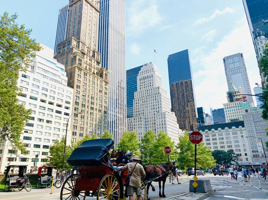 IMG_0676.jpg?type=w966