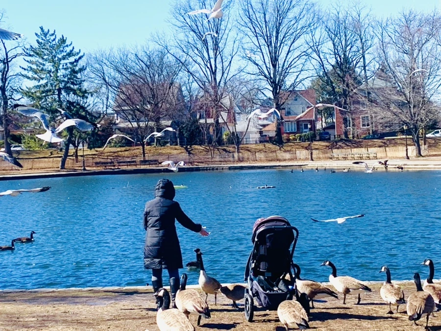 IMG_6677.jpg?type=w966