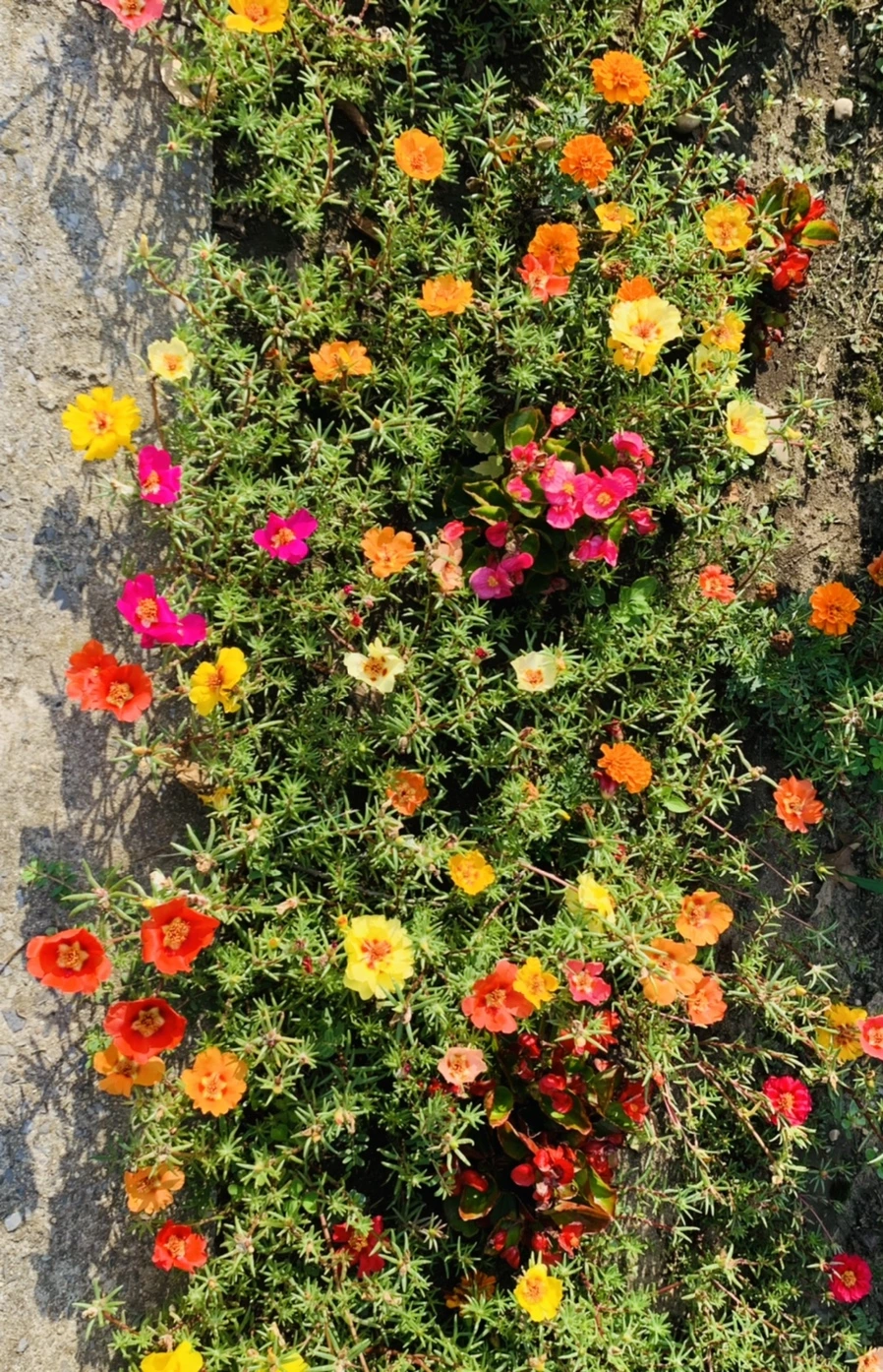 IMG_6640.jpg?type=w966