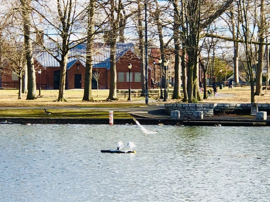 IMG_9230.jpg?type=w966