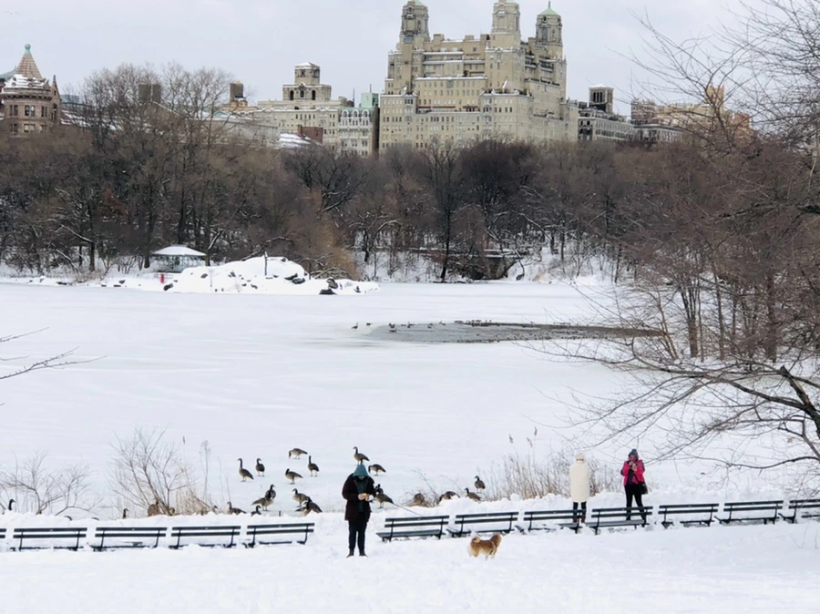 IMG_9500.jpg?type=w966