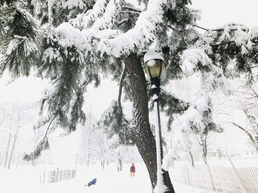 IMG_1086.jpg?type=w966