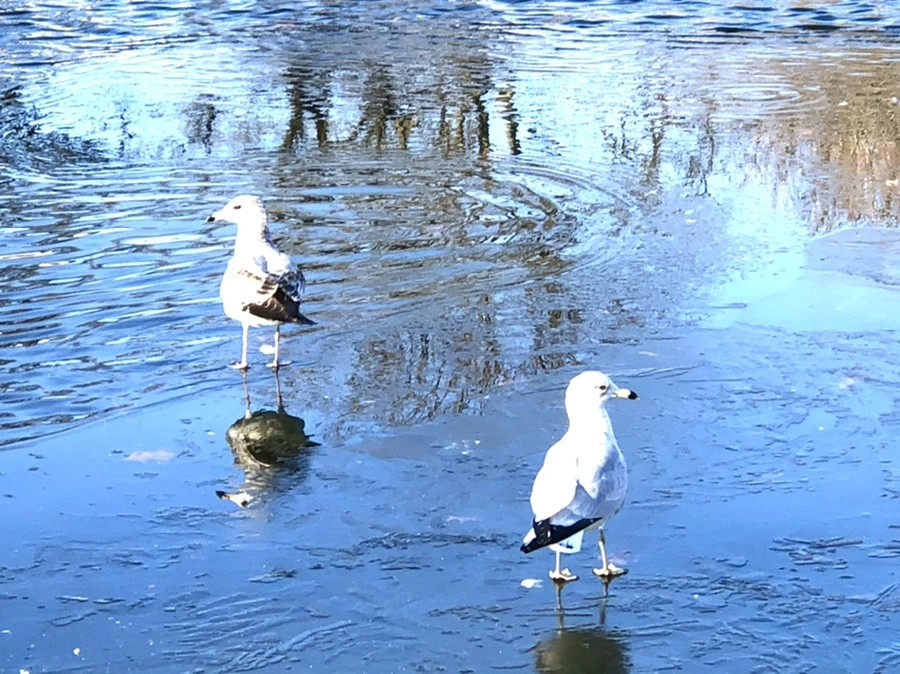 IMG_0576.jpg?type=w966