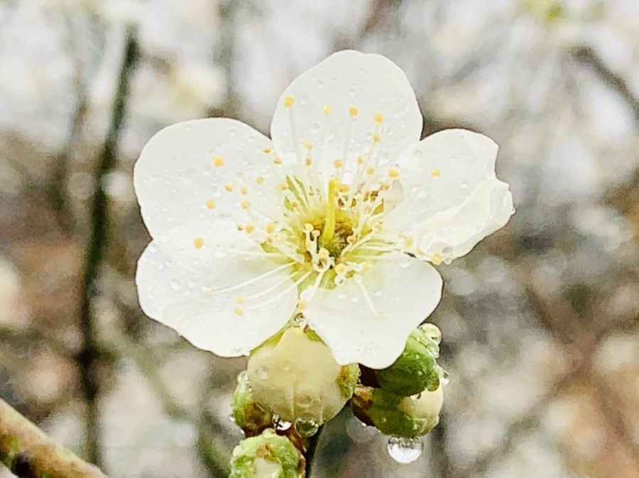 IMG_1974.jpg?type=w966