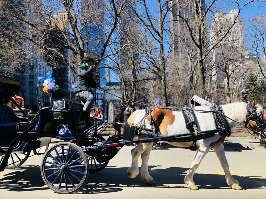 IMG_1194.jpg?type=w966