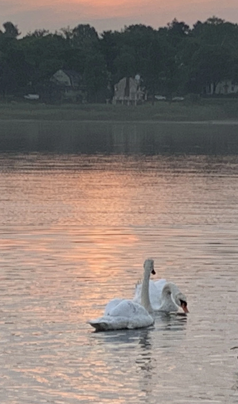 IMG_1558.jpg?type=w966