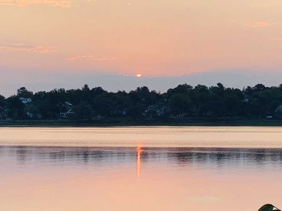 IMG_4650.jpg?type=w966