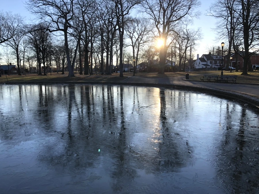 IMG_1121.jpg?type=w966