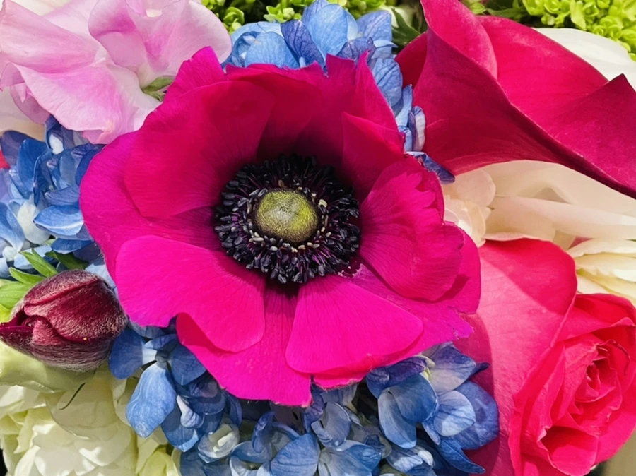 IMG_3869.jpg?type=w966