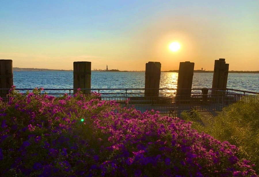 IMG_1740.jpg?type=w966