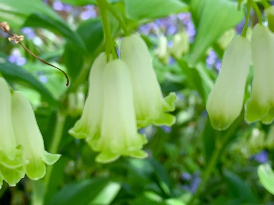 IMG_1156.jpg?type=w966