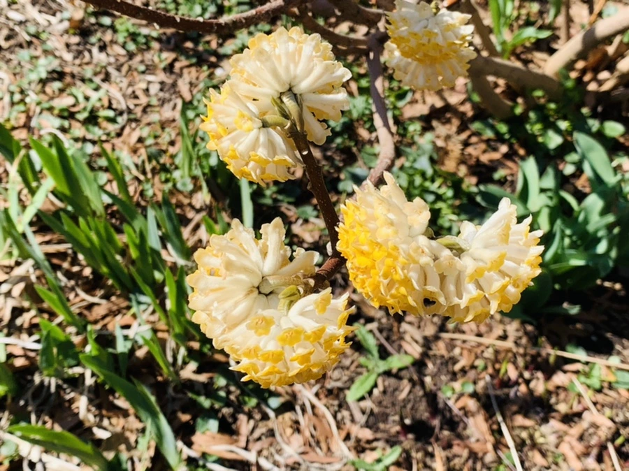 IMG_5797.jpg?type=w966