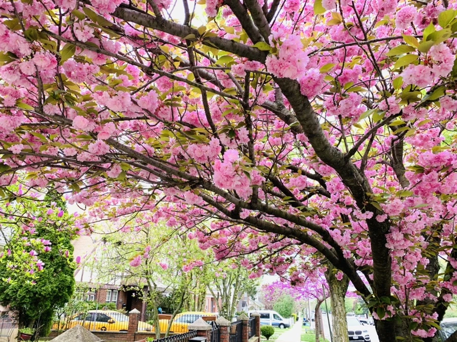 IMG_7422.jpg?type=w966