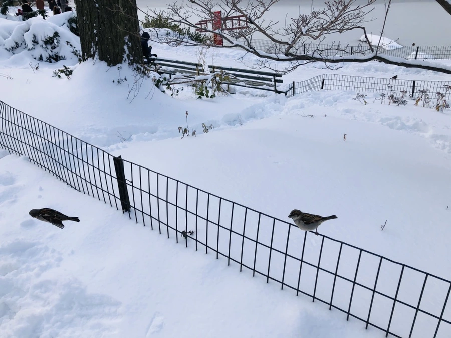 IMG_7022.jpg?type=w966