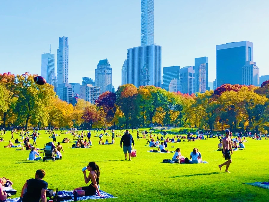 IMG_3950.jpg?type=w966